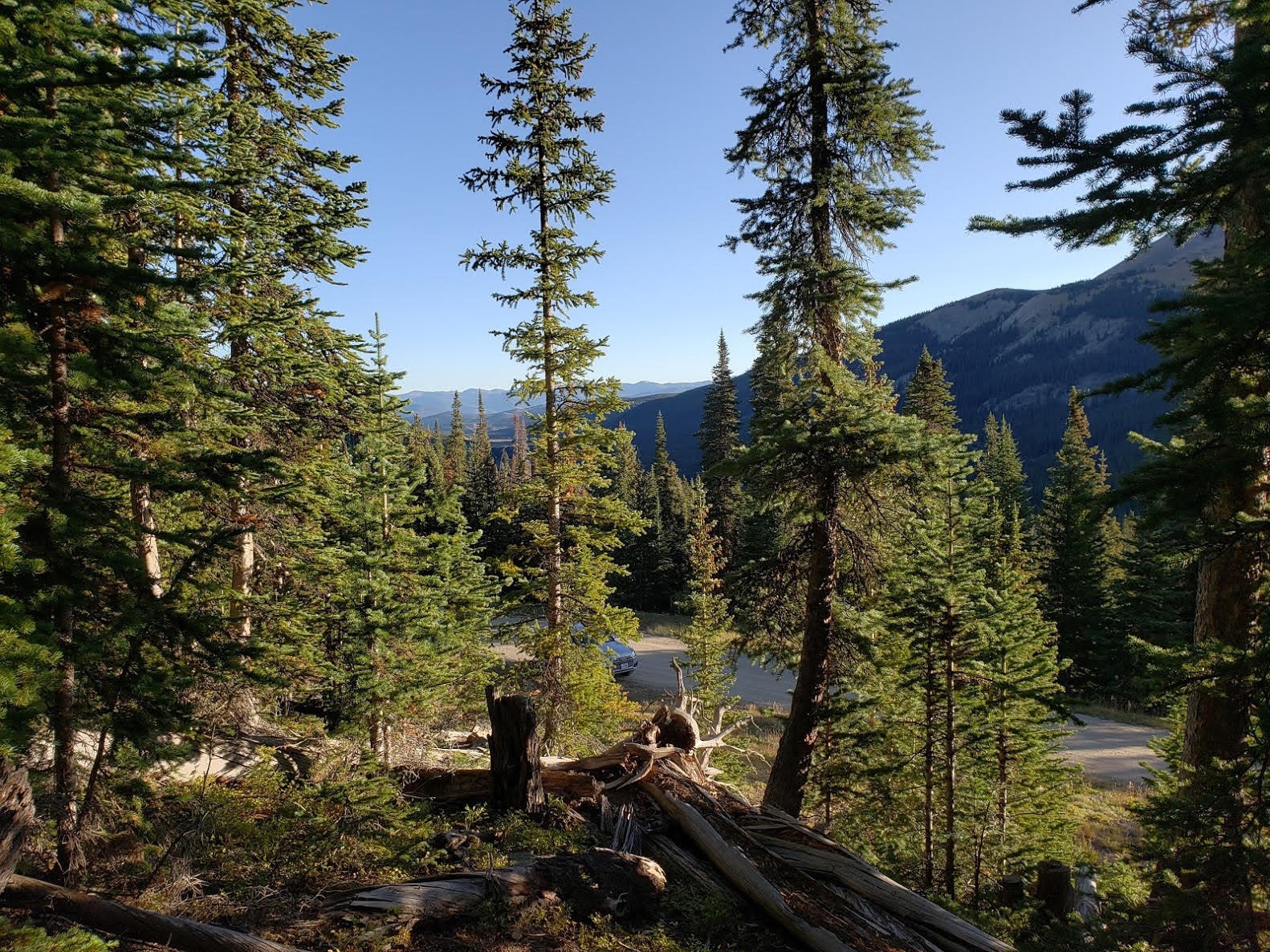 159 Hamilton Breckenridge CO 80424