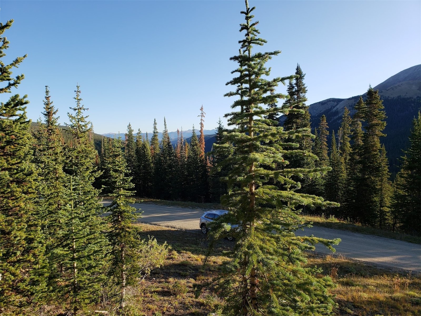 159 Hamilton Breckenridge CO 80424