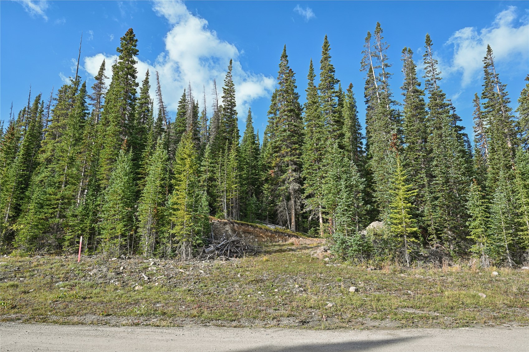 159 Hamilton Breckenridge CO 80424