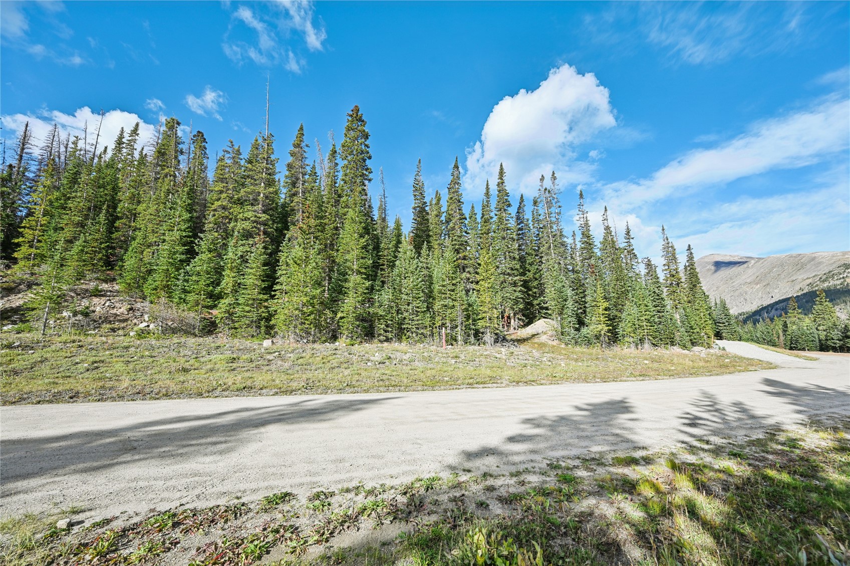 159 Hamilton Breckenridge CO 80424