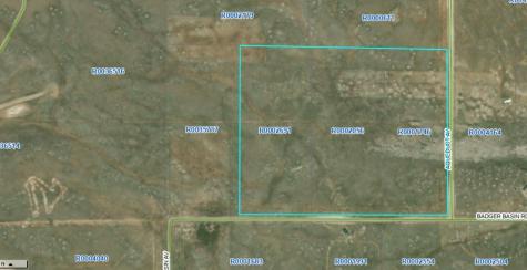 305 Badger Lane Hartsel CO 80449