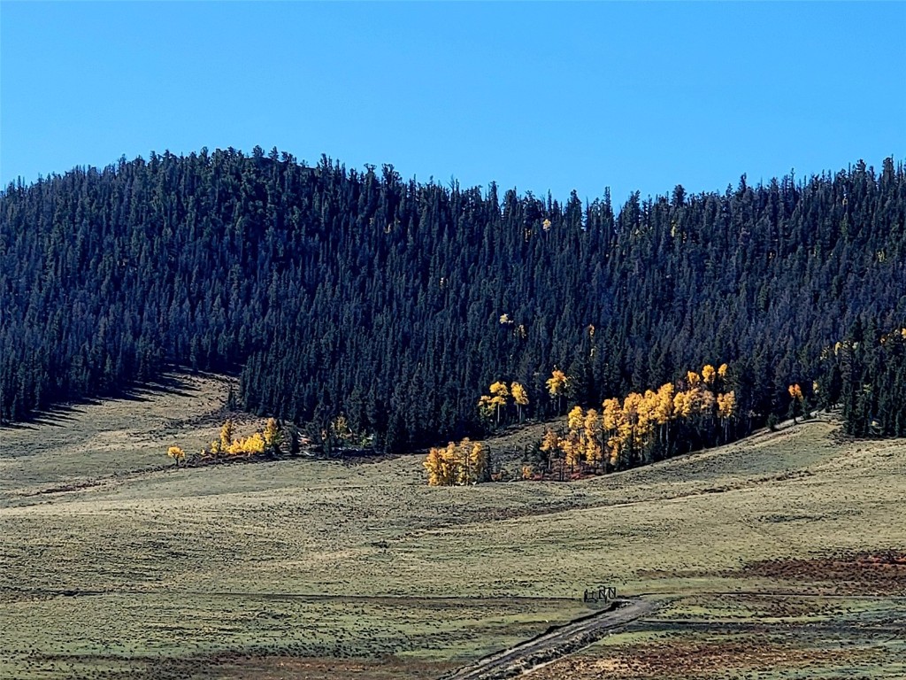 622 Rainbow Drive Como CO 80432