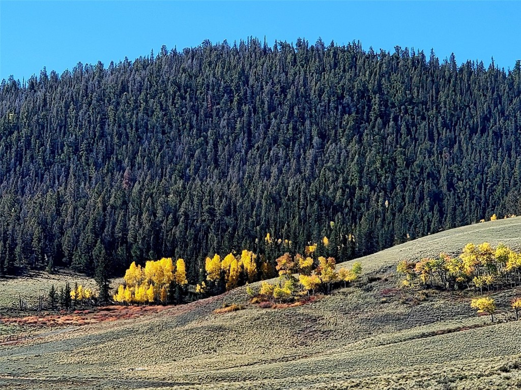 622 Rainbow Drive Como CO 80432