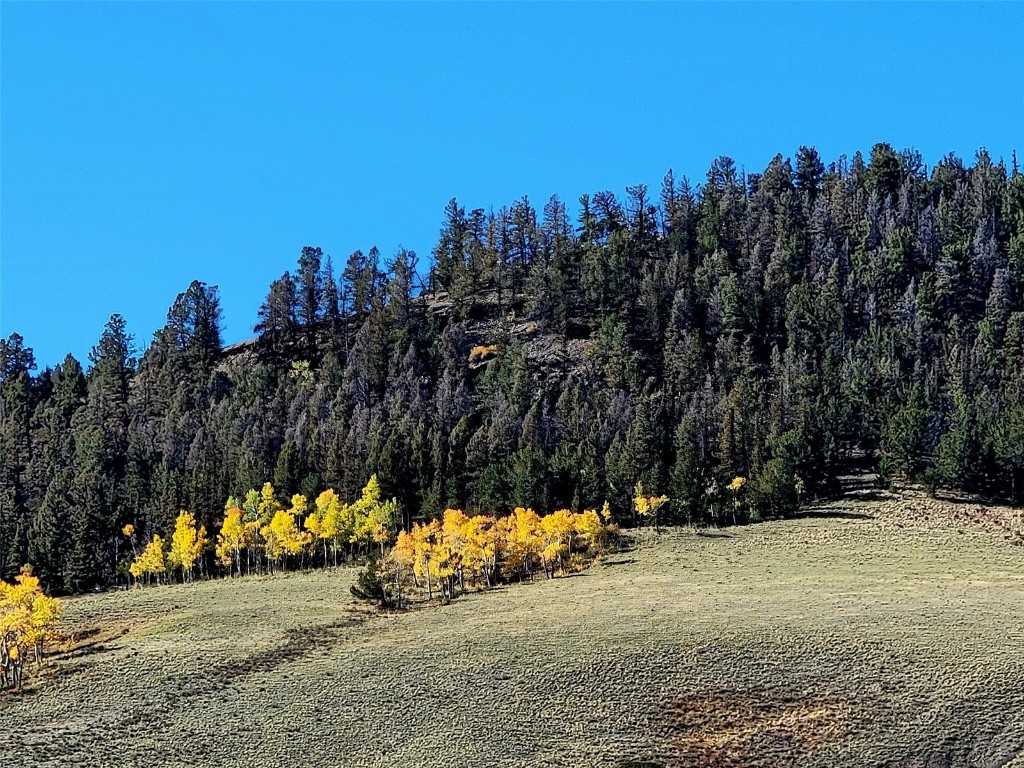 622 Rainbow Drive Como CO 80432