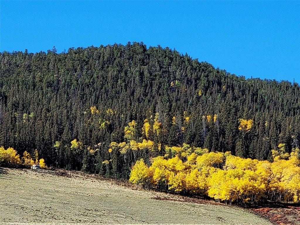 622 Rainbow Drive Como CO 80432