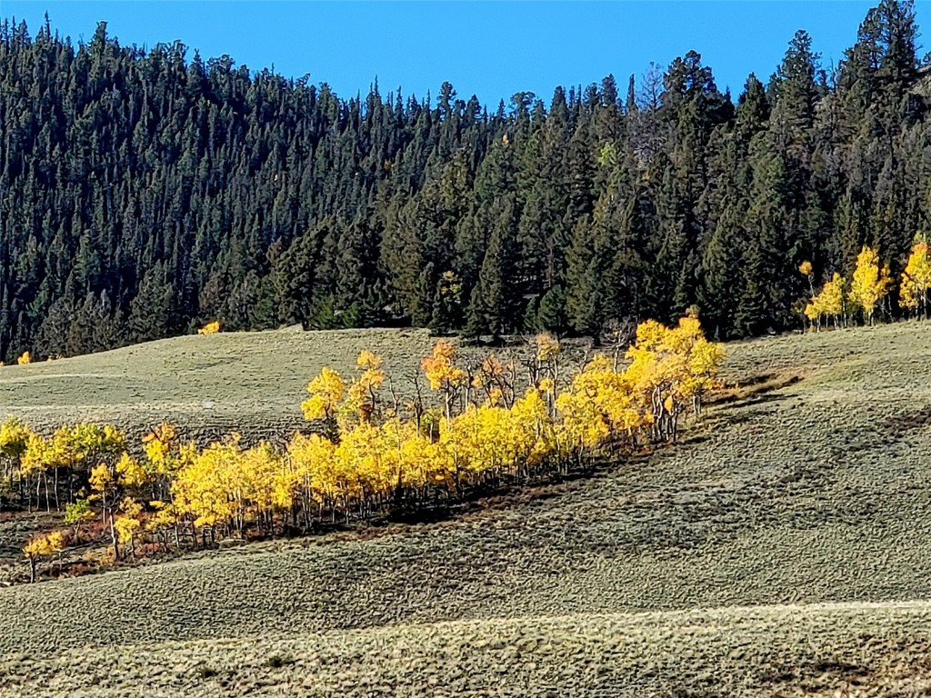 622 Rainbow Drive Como CO 80432