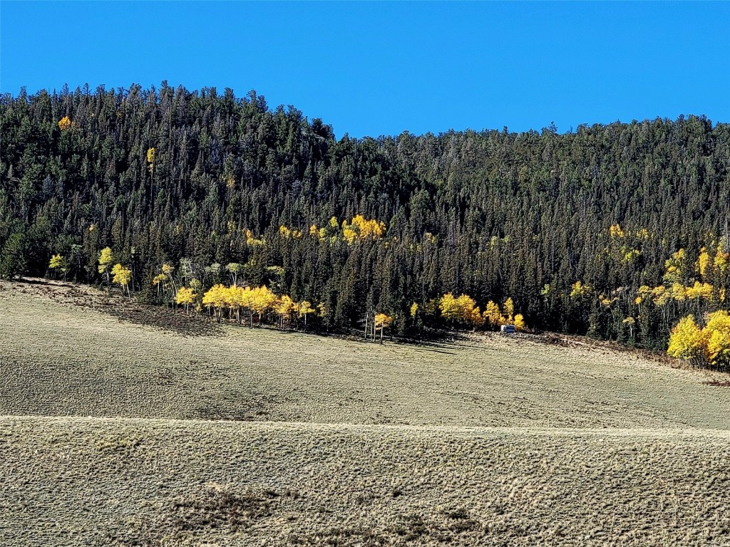 622 Rainbow Drive Como CO 80432