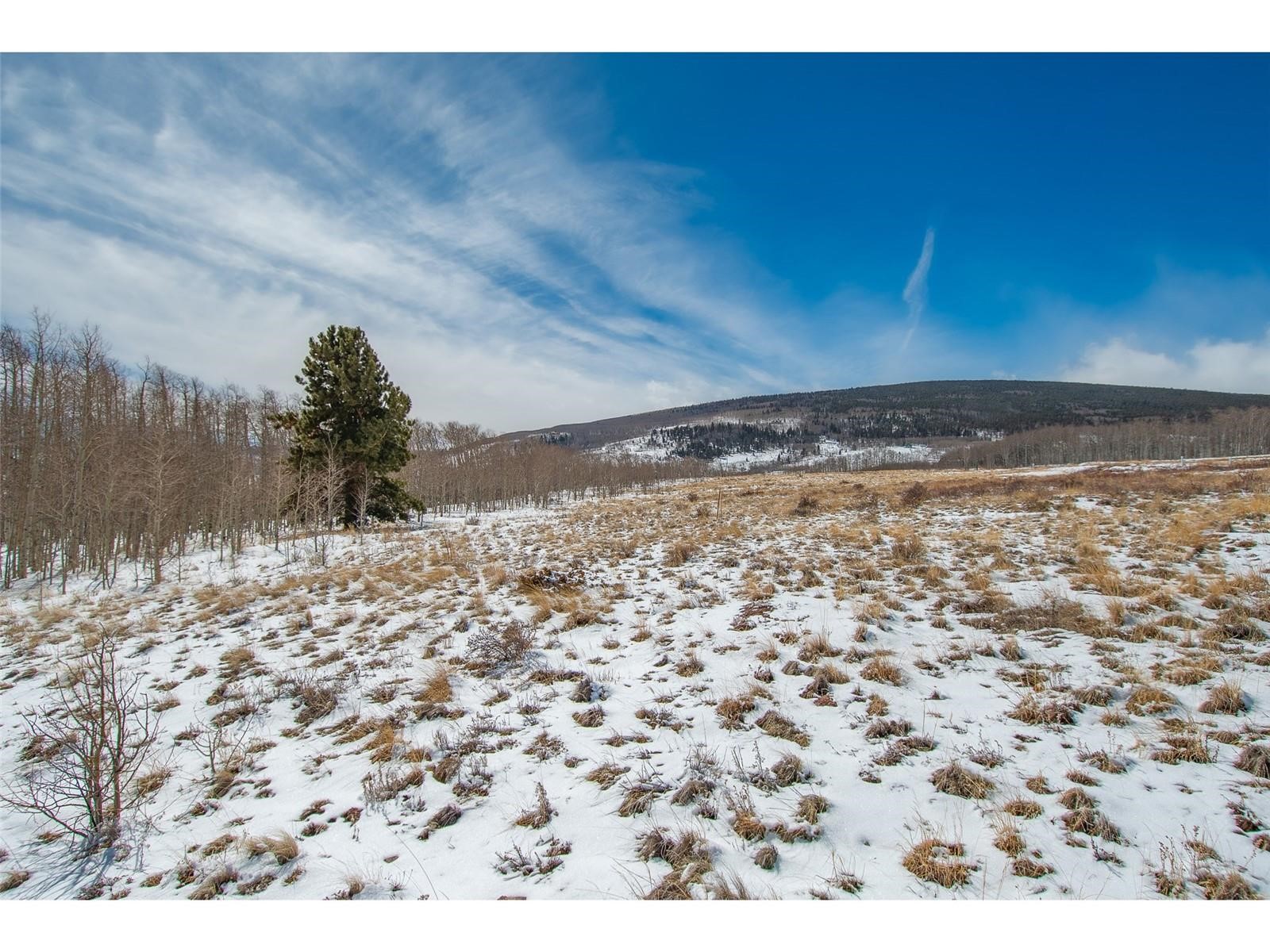 1327 Sheep Ridge Road Fairplay CO 80440
