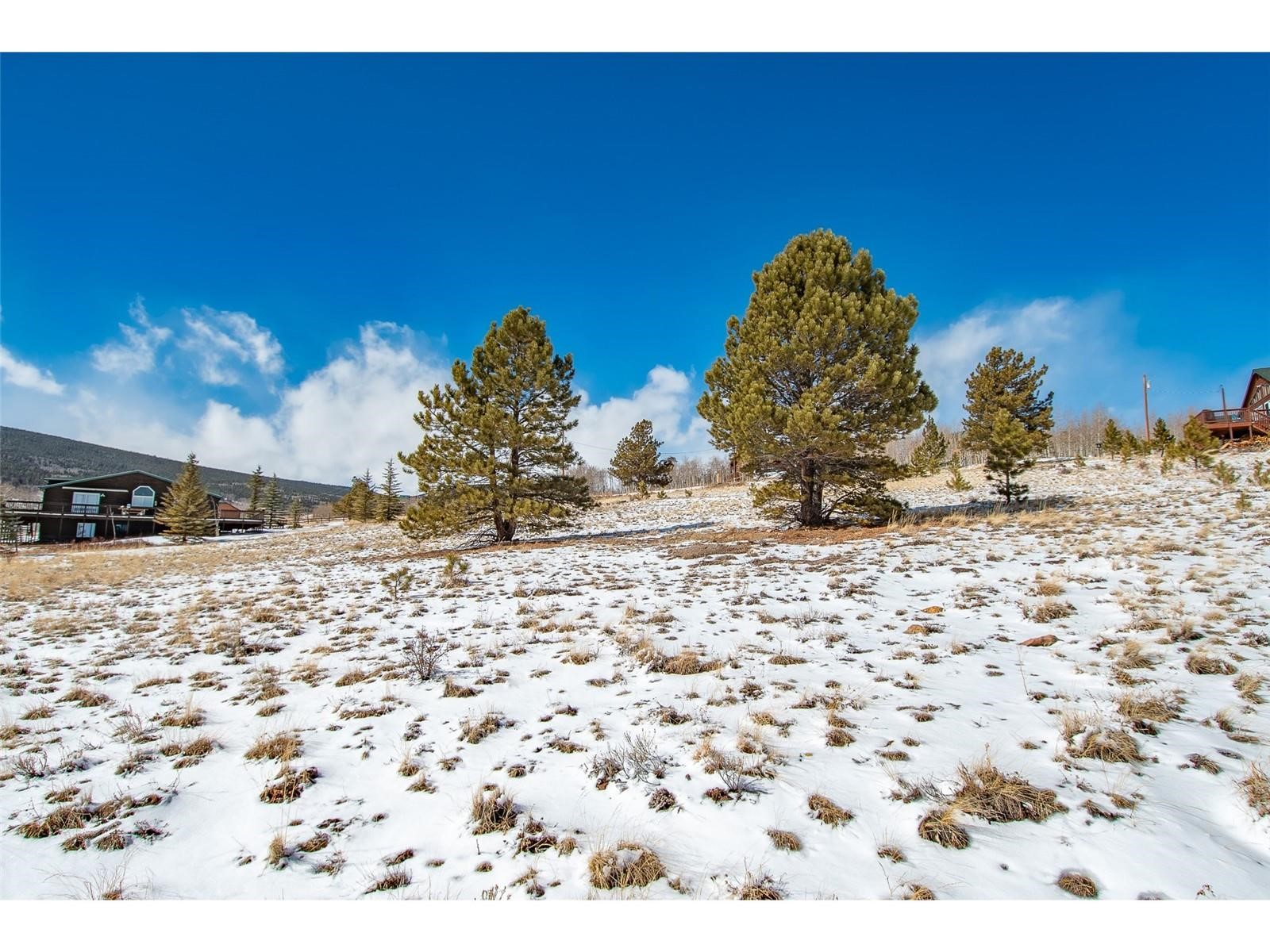 1327 Sheep Ridge Road Fairplay CO 80440
