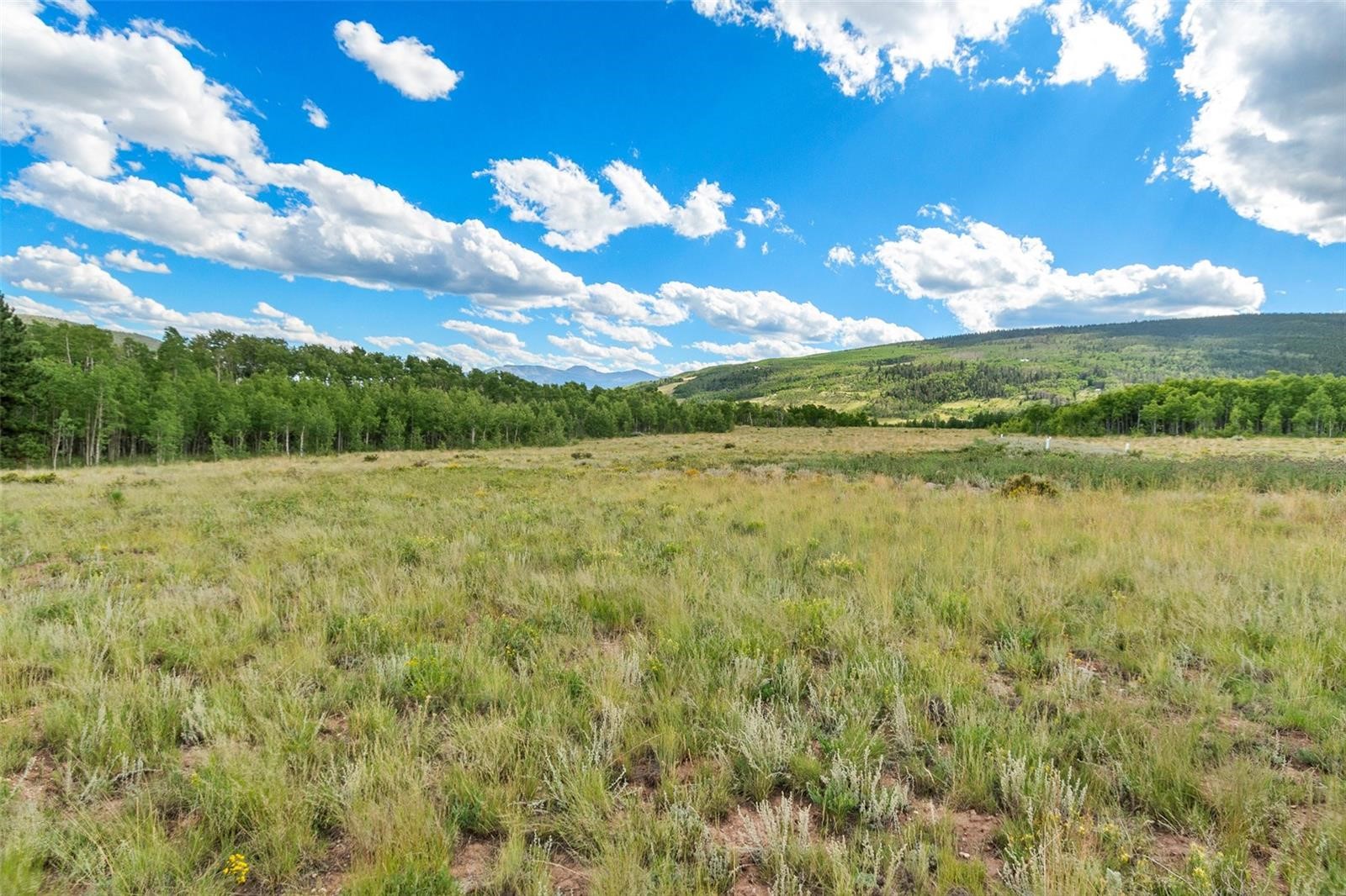1327 Sheep Ridge Road Fairplay CO 80440