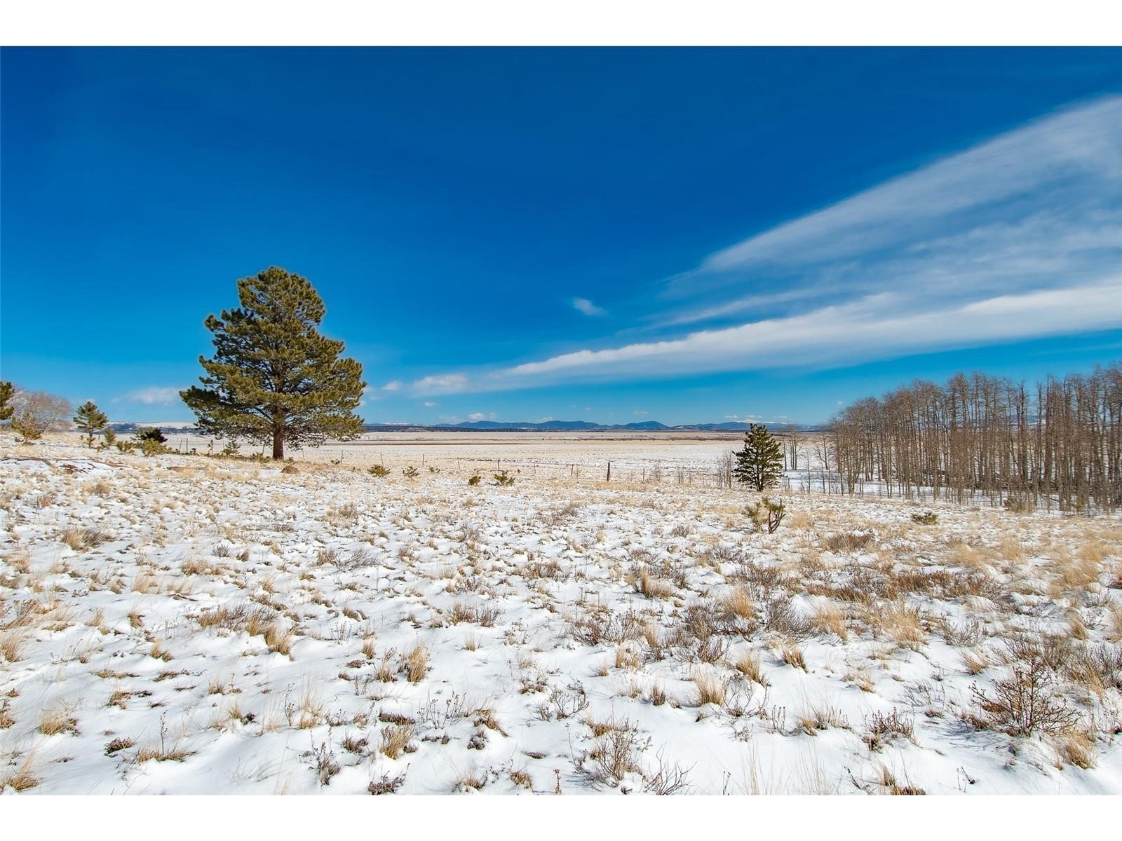 1327 Sheep Ridge Road Fairplay CO 80440