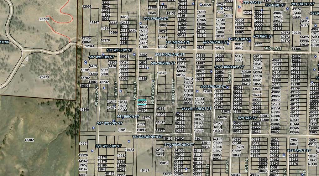 00 Spring Street Hartsel CO 80449