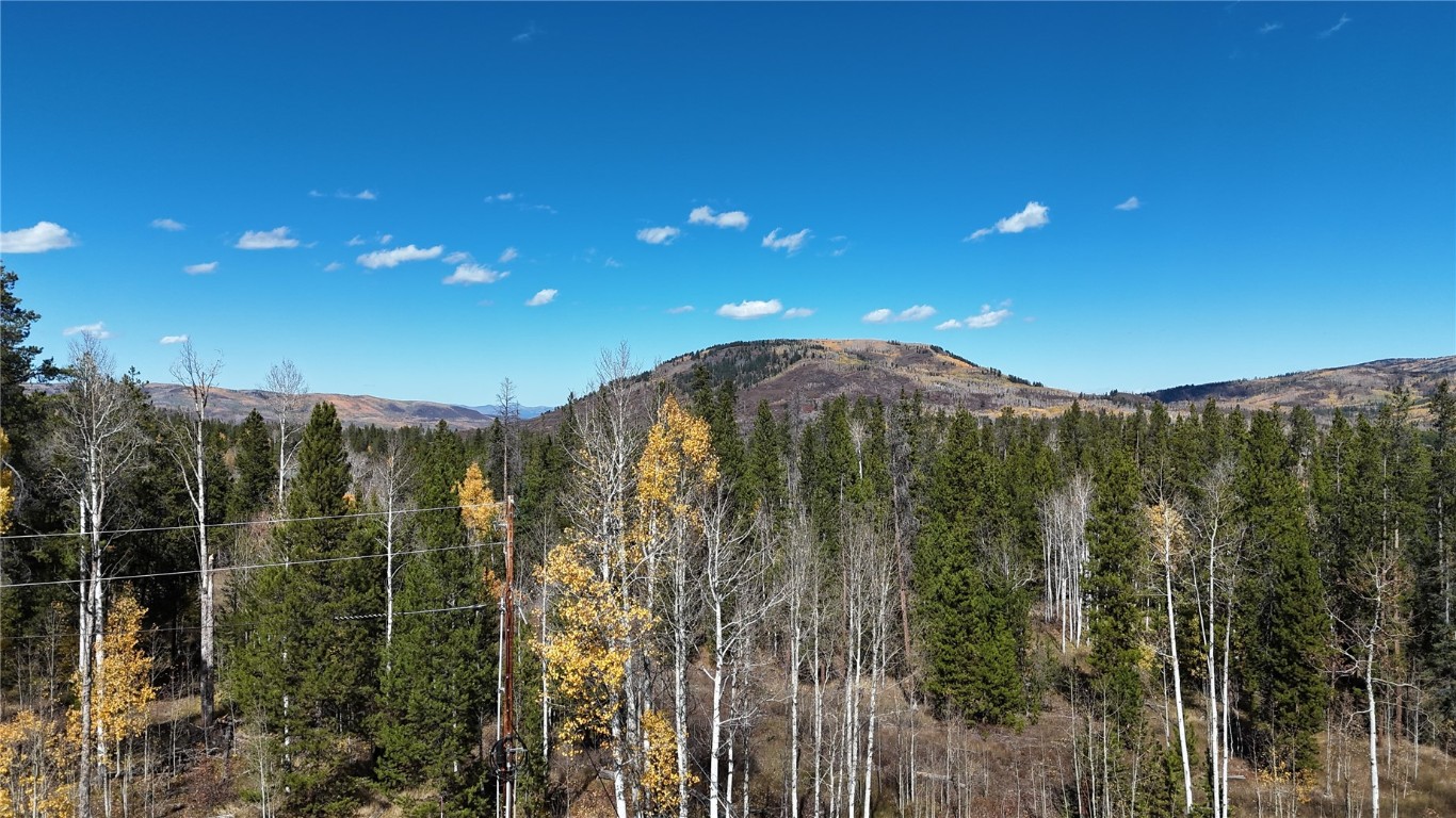 20850 Mustang Way Oak Creek CO 80467