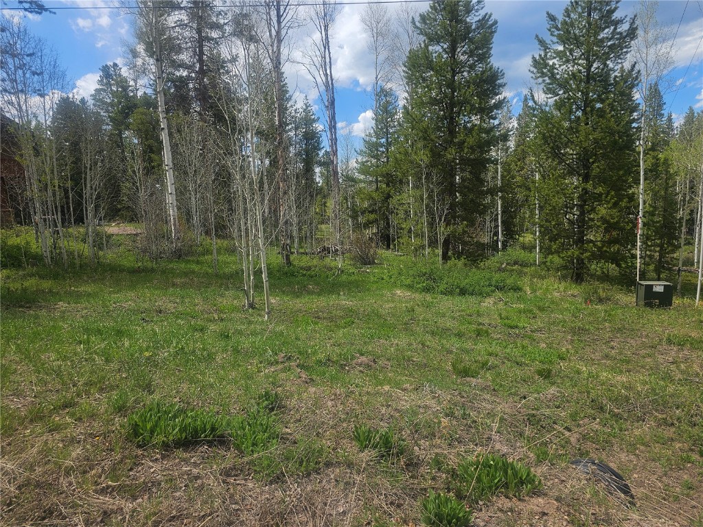 20850 Mustang Way Oak Creek CO 80467