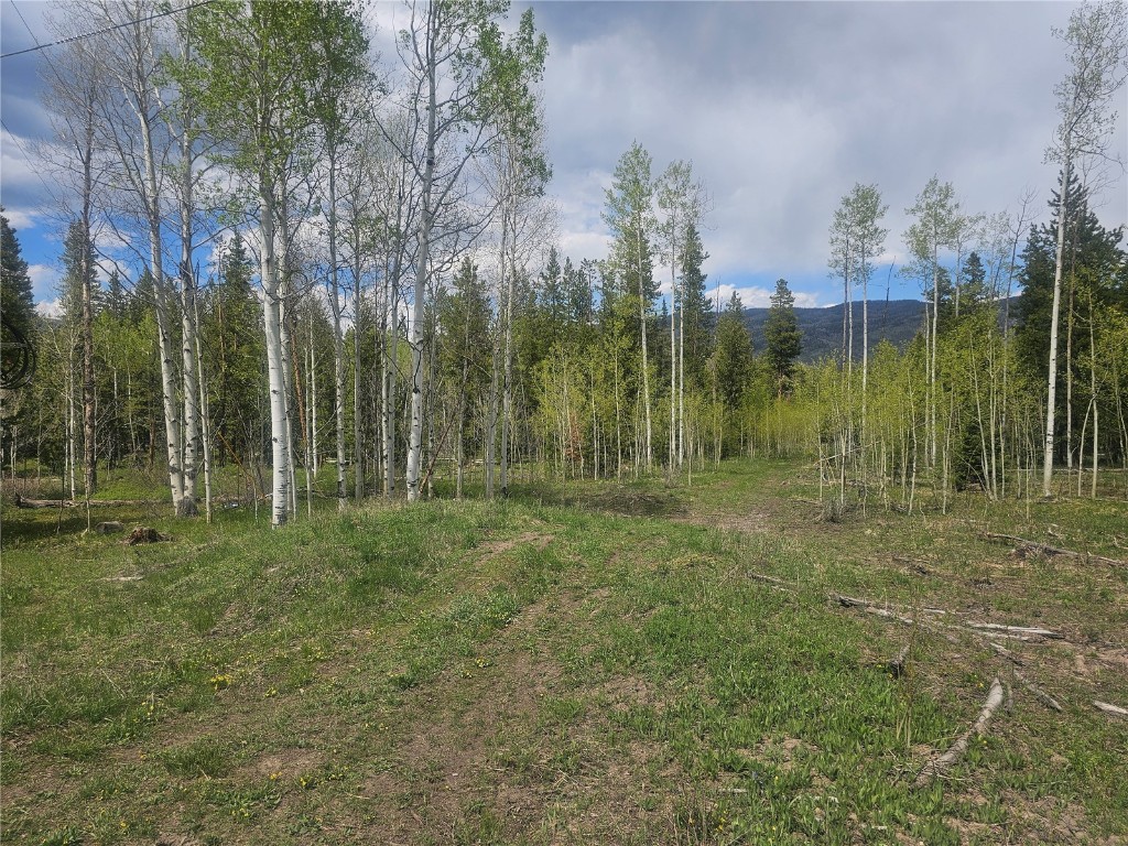 20850 Mustang Way Oak Creek CO 80467