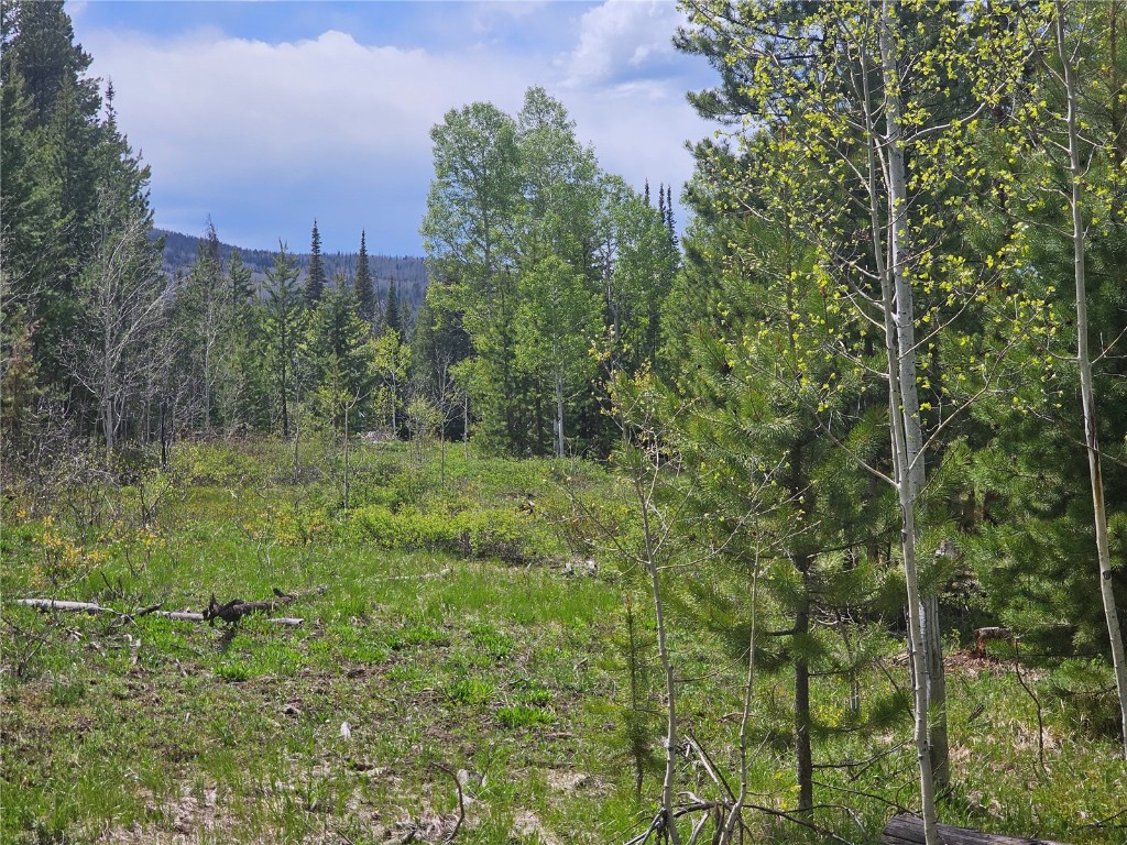 20850 Mustang Way Oak Creek CO 80467