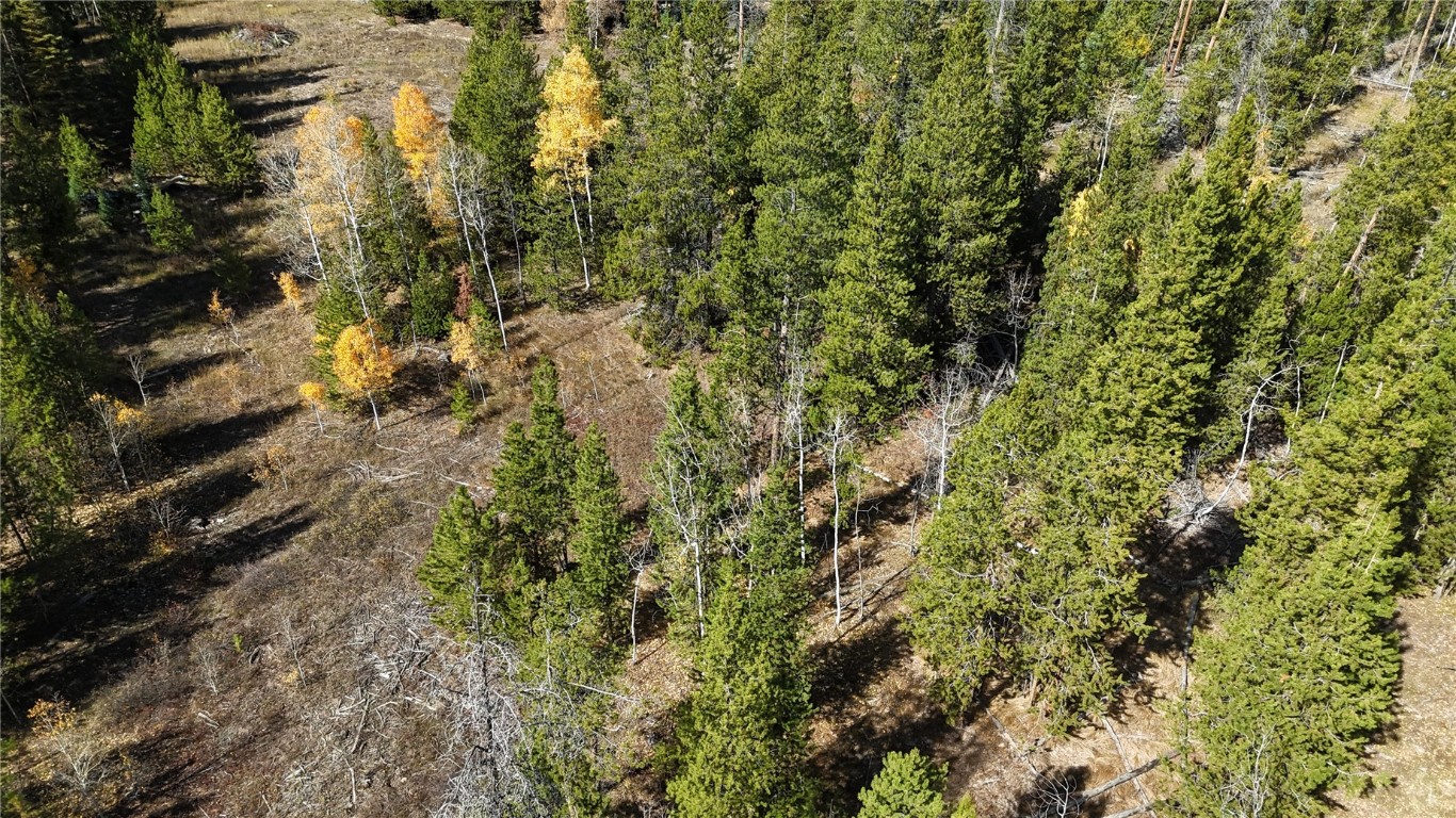 20850 Mustang Way Oak Creek CO 80467