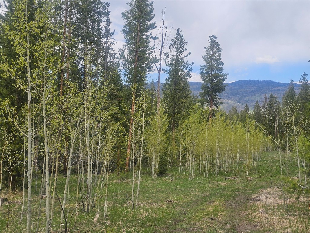 20850 Mustang Way Oak Creek CO 80467