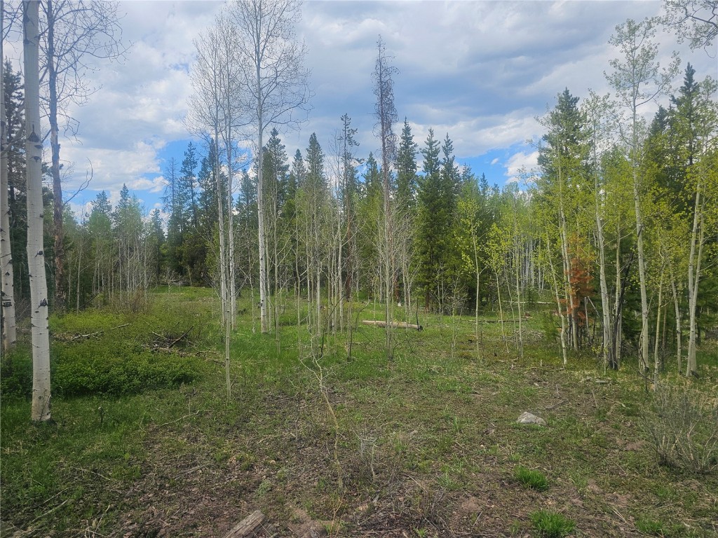 20850 Mustang Way Oak Creek CO 80467