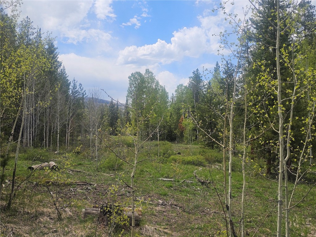 20850 Mustang Way Oak Creek CO 80467