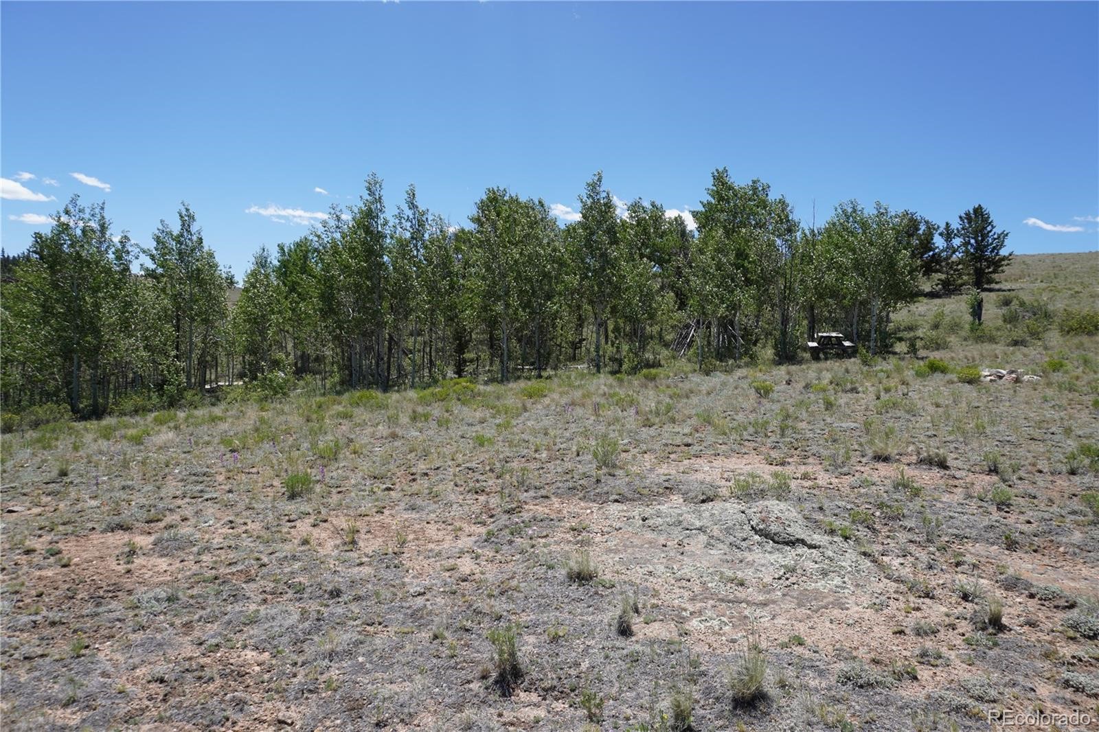 620 Arland Road Como CO 80456