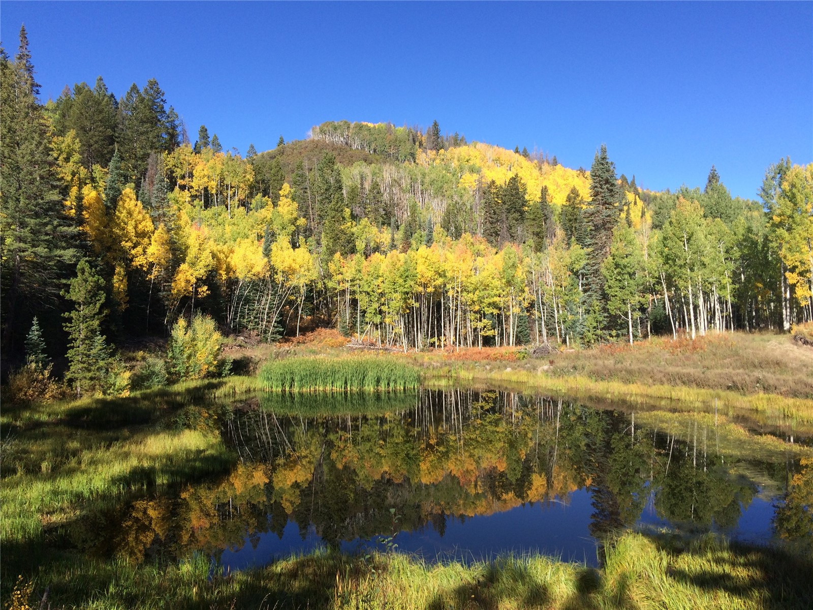21195 Cheyenne Trail Oak Creek CO 80467
