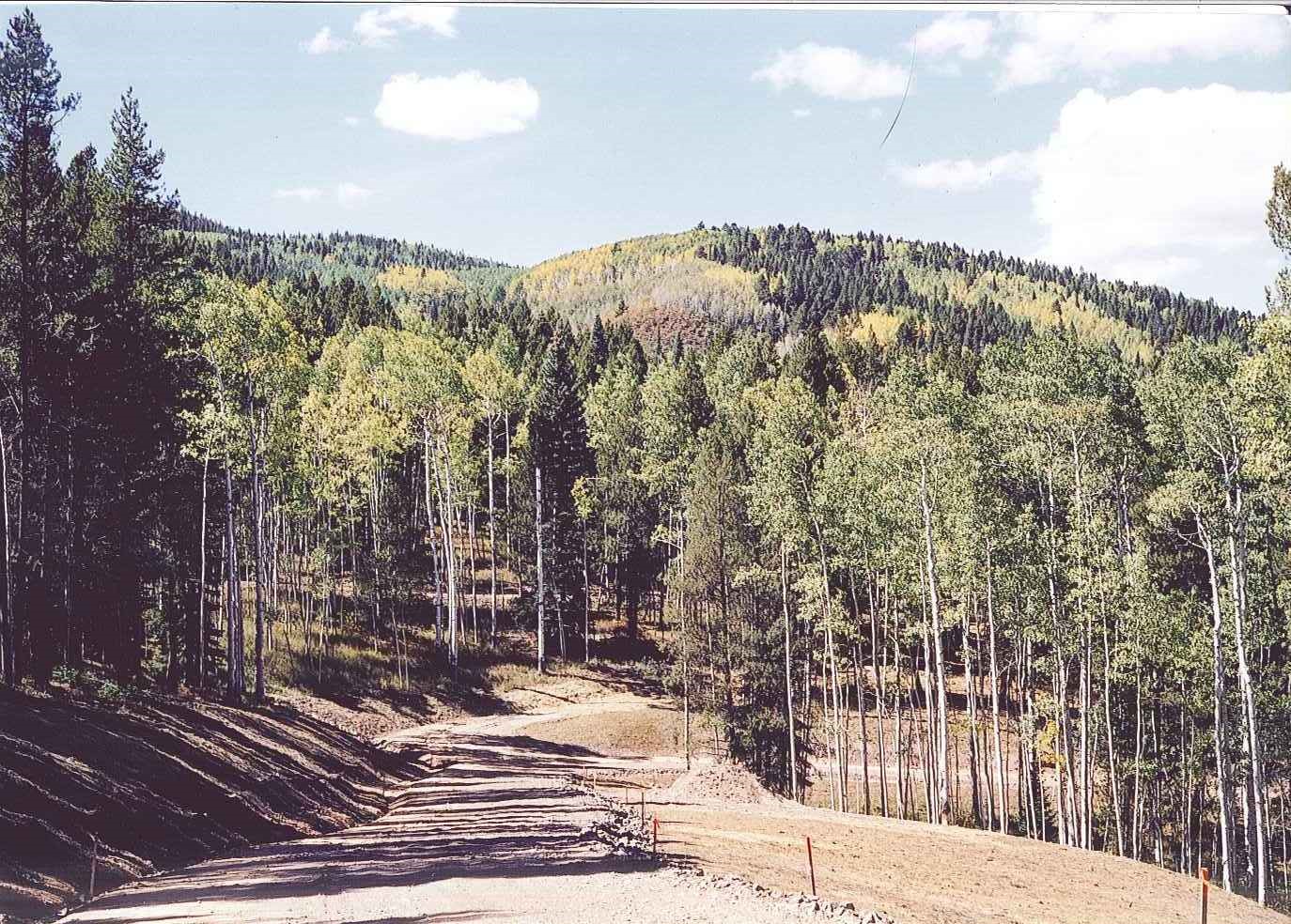 21195 Cheyenne Trail Oak Creek CO 80467