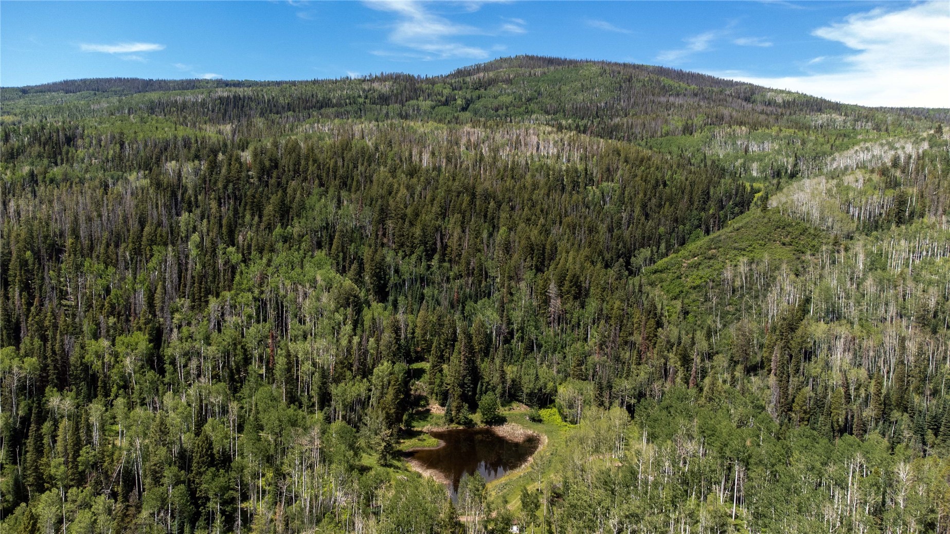 21195 Cheyenne Trail Oak Creek CO 80467