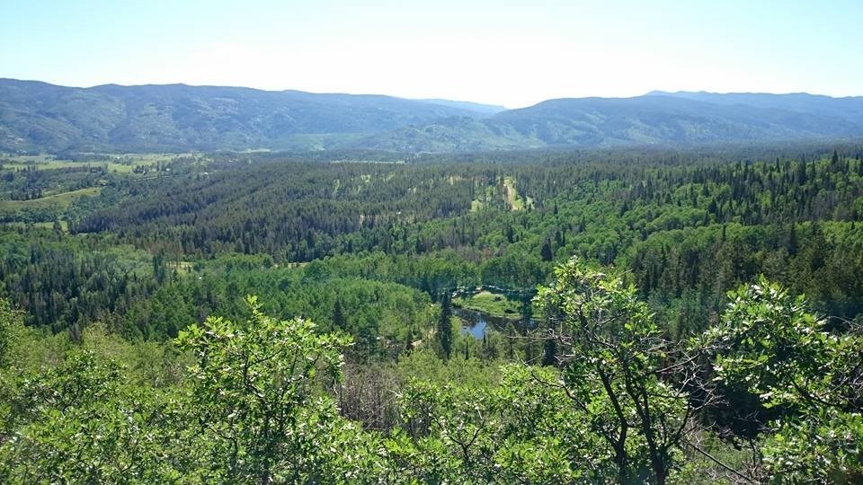 21195 Cheyenne Trail Oak Creek CO 80467
