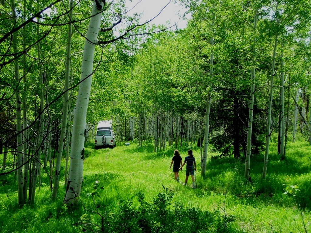 21195 Cheyenne Trail Oak Creek CO 80467