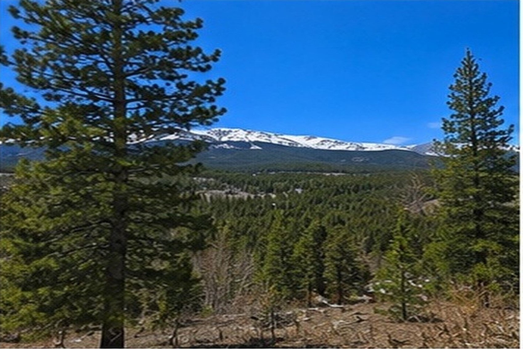 90 Shadows Drive Breckenridge CO 80424