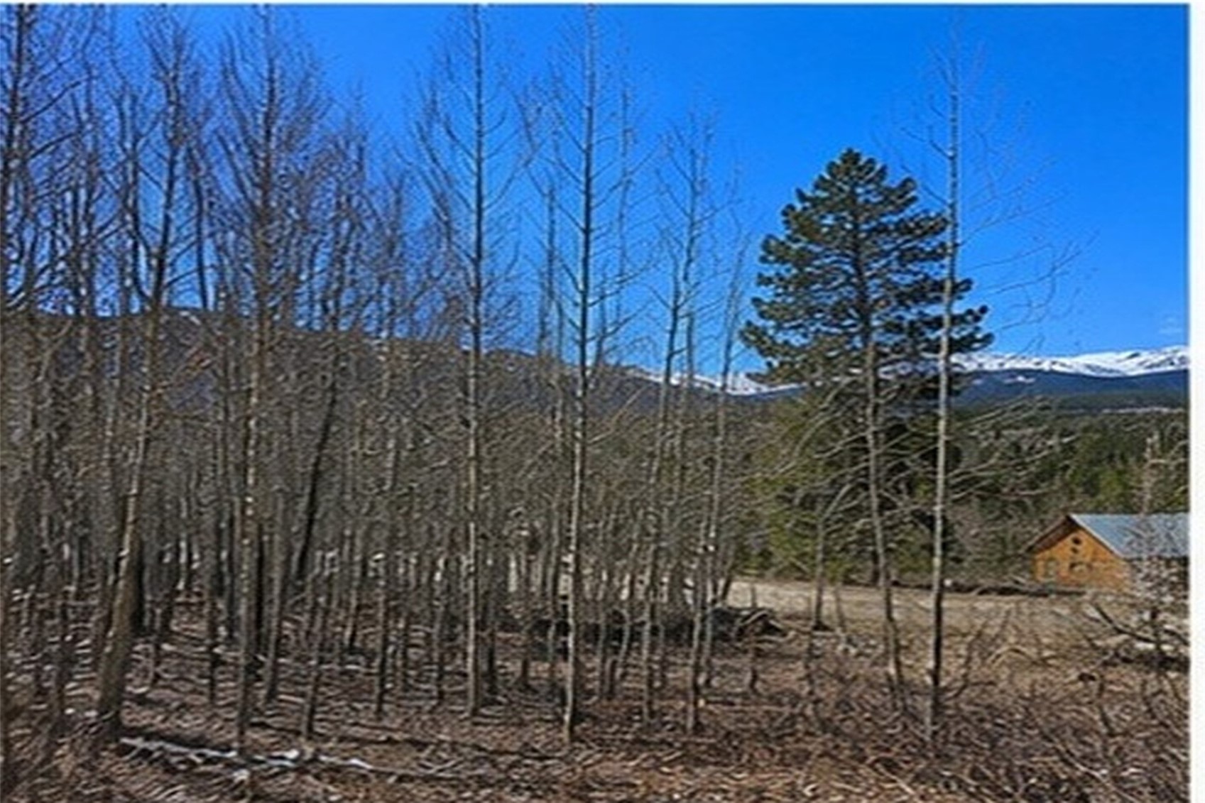 90 Shadows Drive Breckenridge CO 80424
