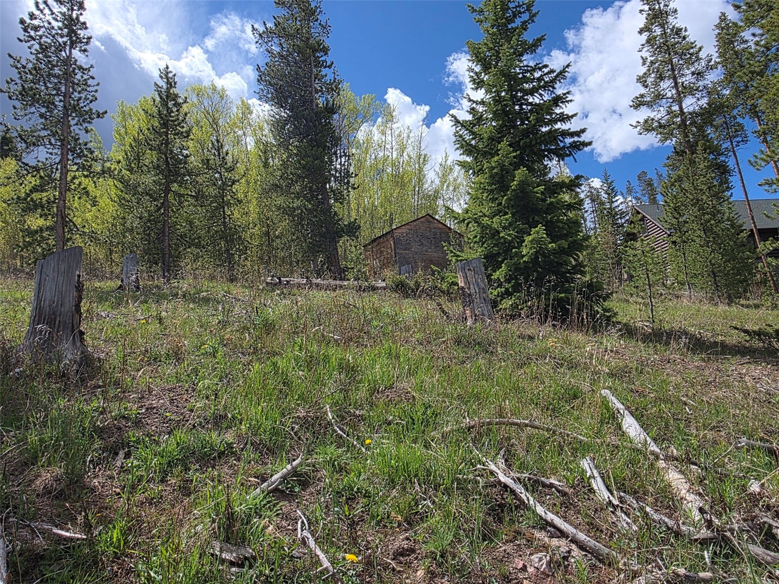 90 Shadows Drive Breckenridge CO 80424