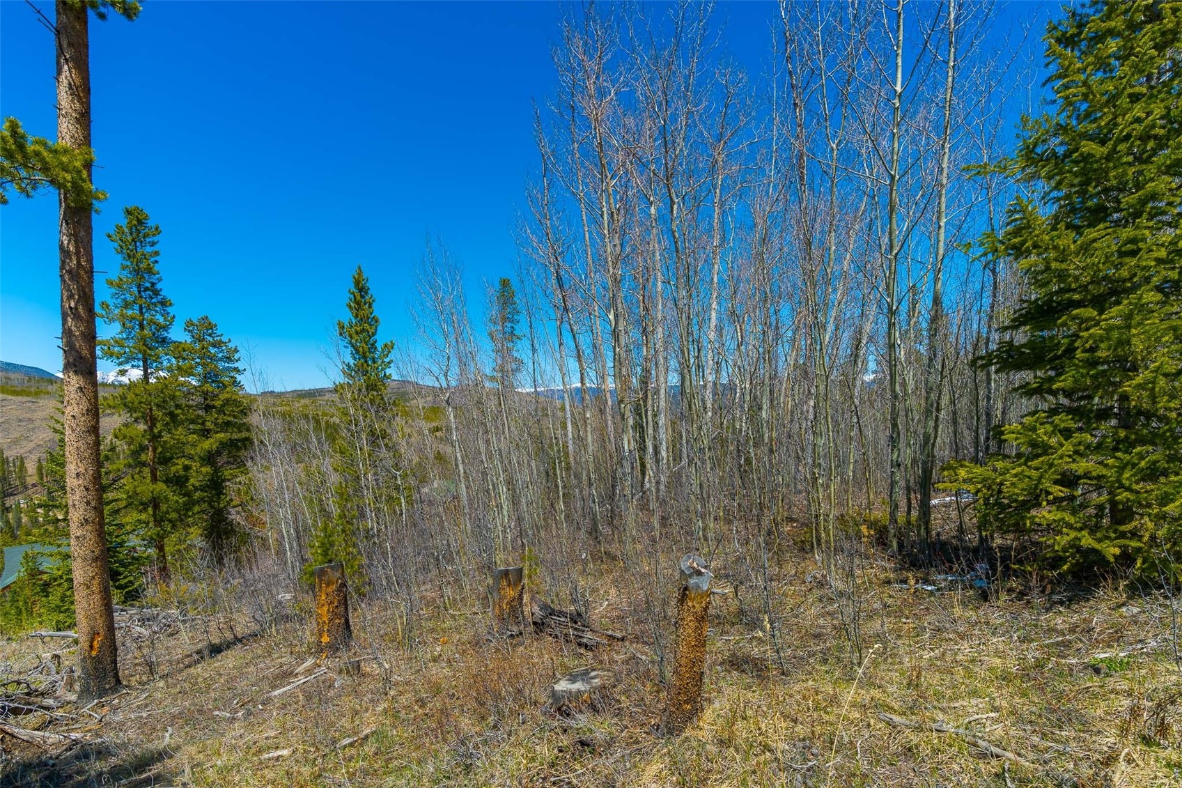90 Shadows Drive Breckenridge CO 80424