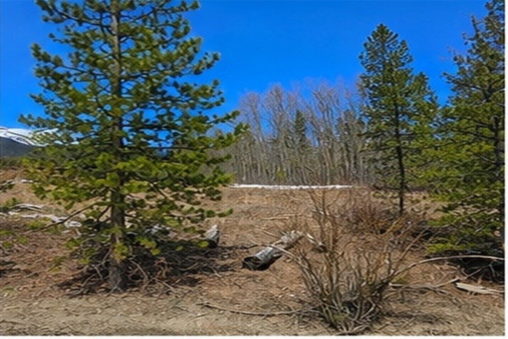 90 Shadows Drive Breckenridge CO 80424