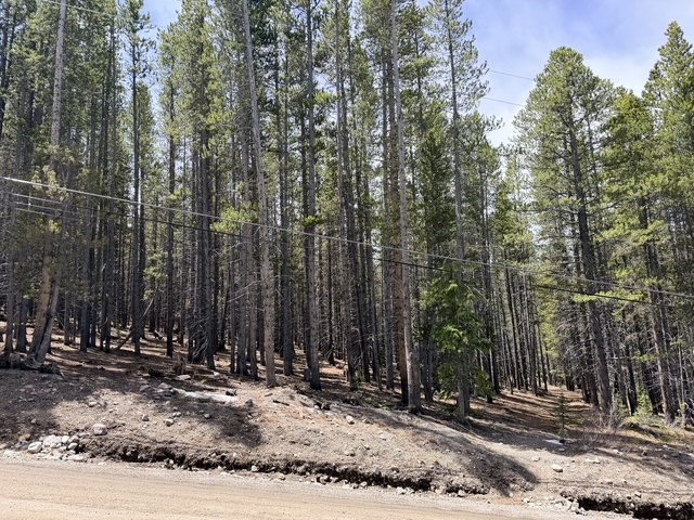 0064 Cr 534 Breckenridge CO 80424