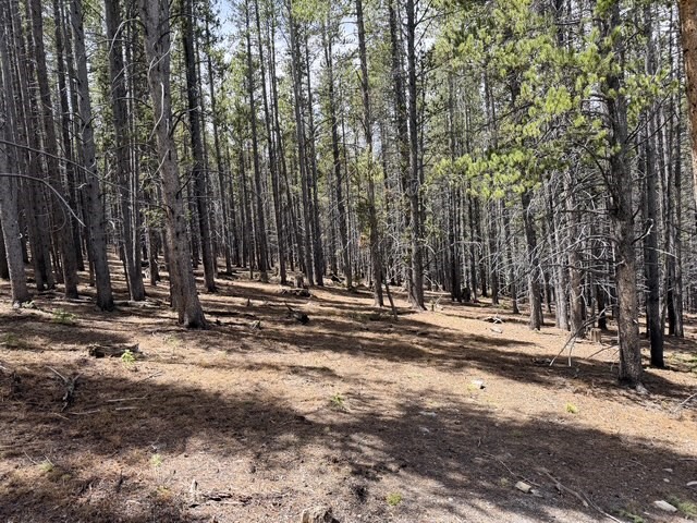 0064 Cr 534 Breckenridge CO 80424