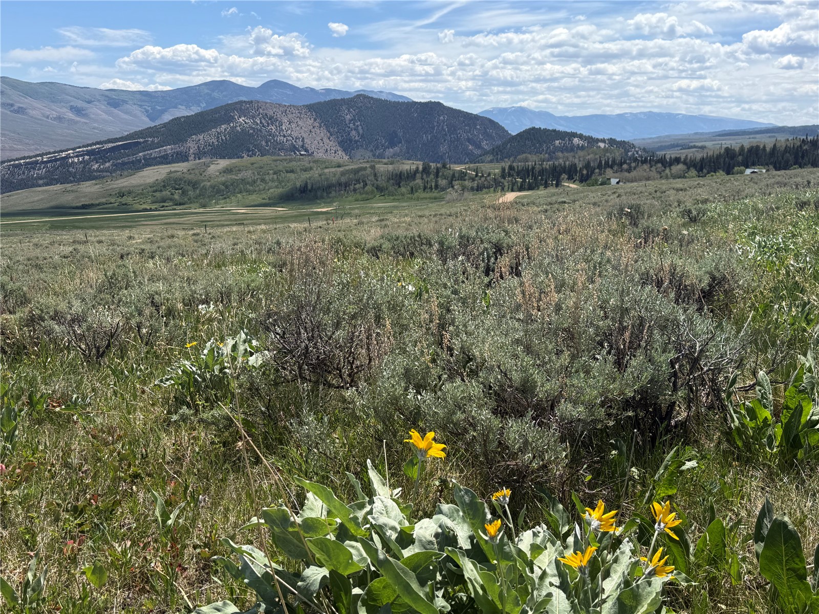 Tbd Spring Creek Ranch Road Silverthorne CO 80498