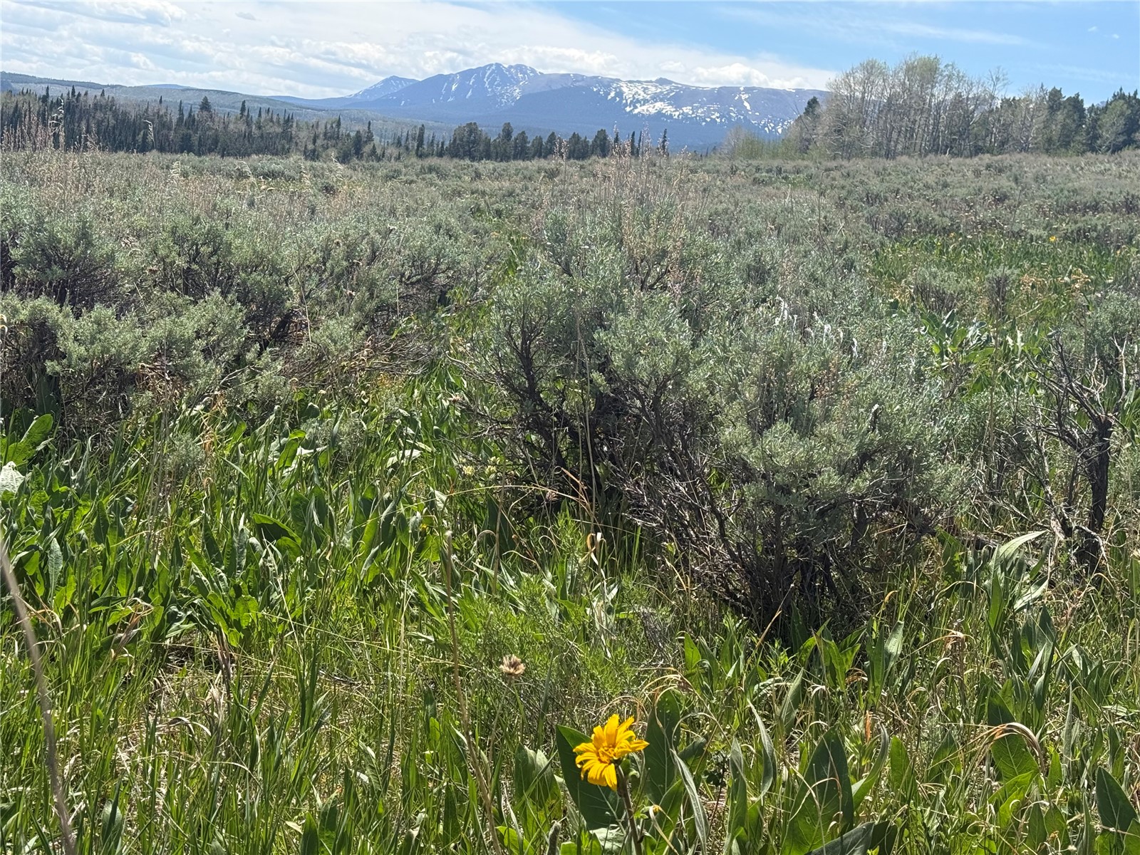 Tbd Spring Creek Ranch Road Silverthorne CO 80498