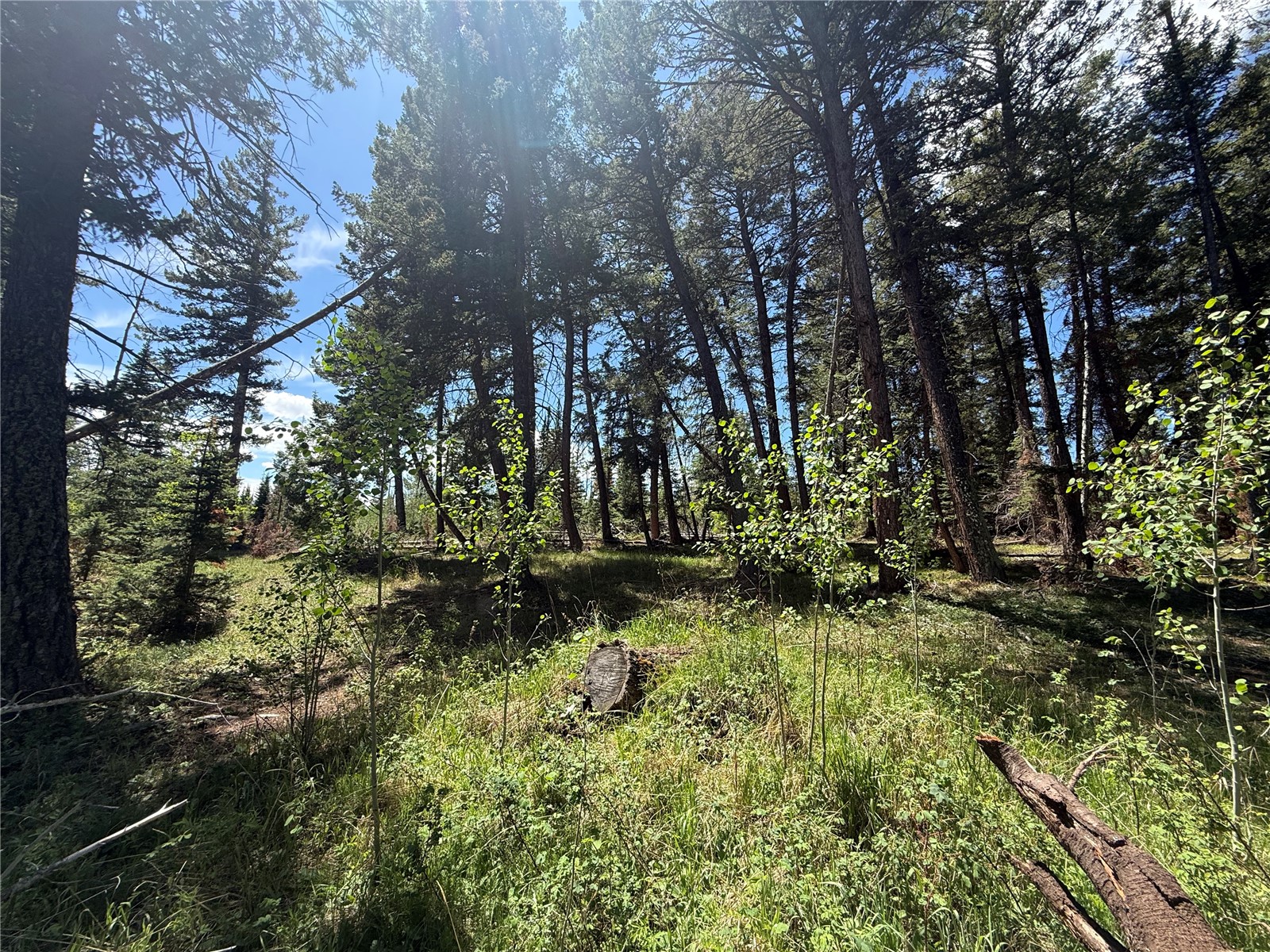 Tbd Spring Creek Ranch Road Silverthorne CO 80498