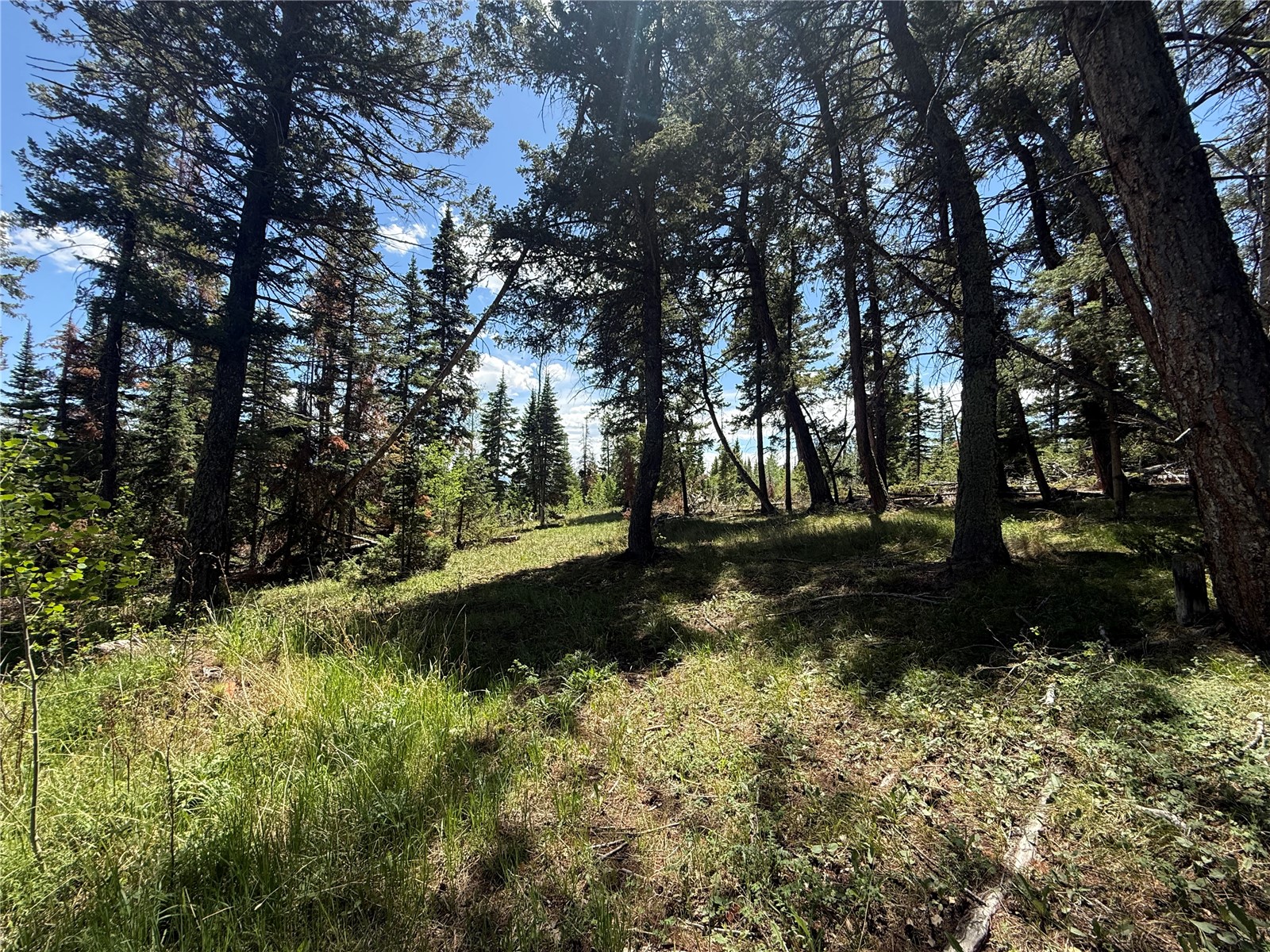 Tbd Spring Creek Ranch Road Silverthorne CO 80498