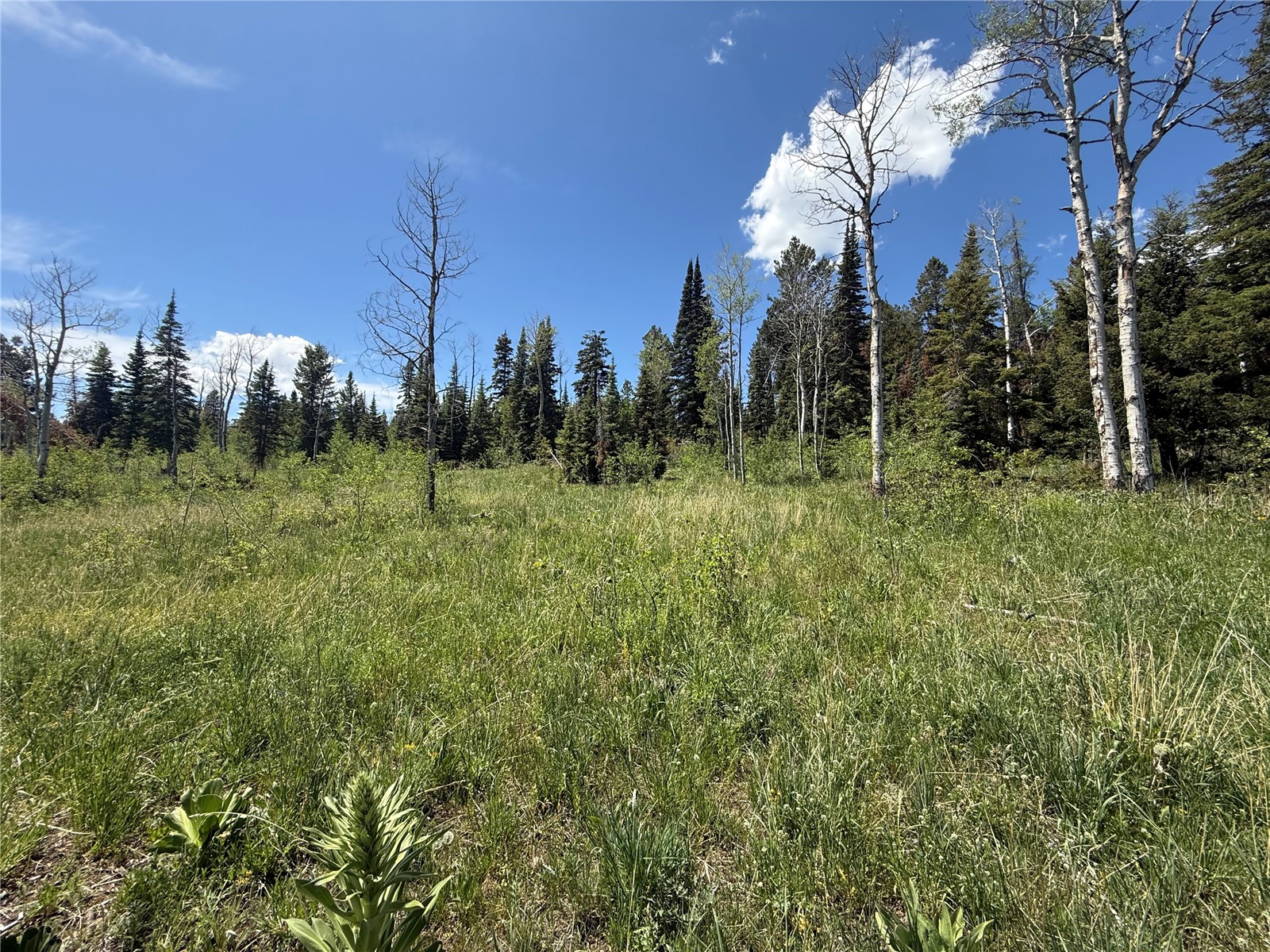 Tbd Spring Creek Ranch Road Silverthorne CO 80498