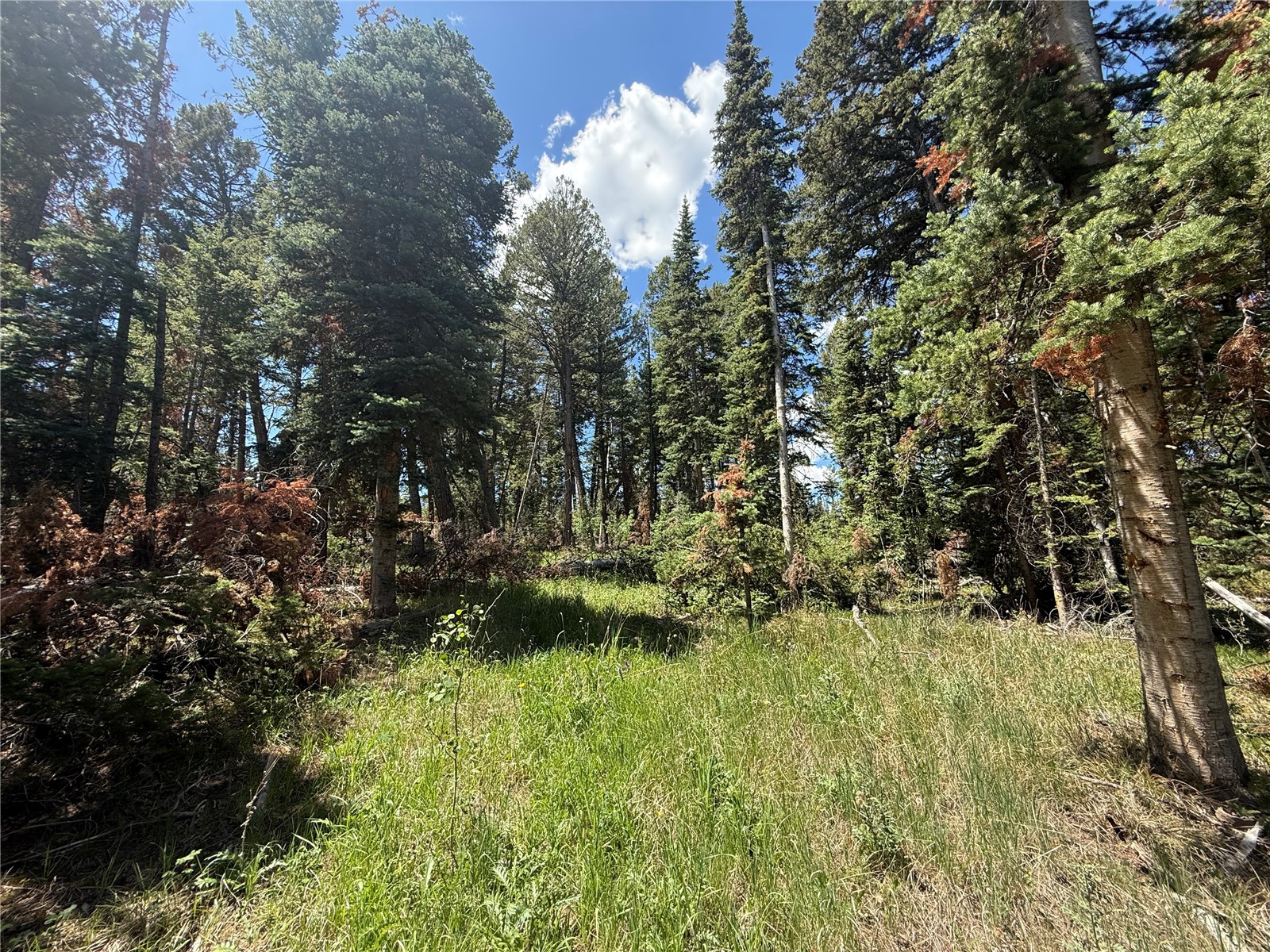 Tbd Spring Creek Ranch Road Silverthorne CO 80498