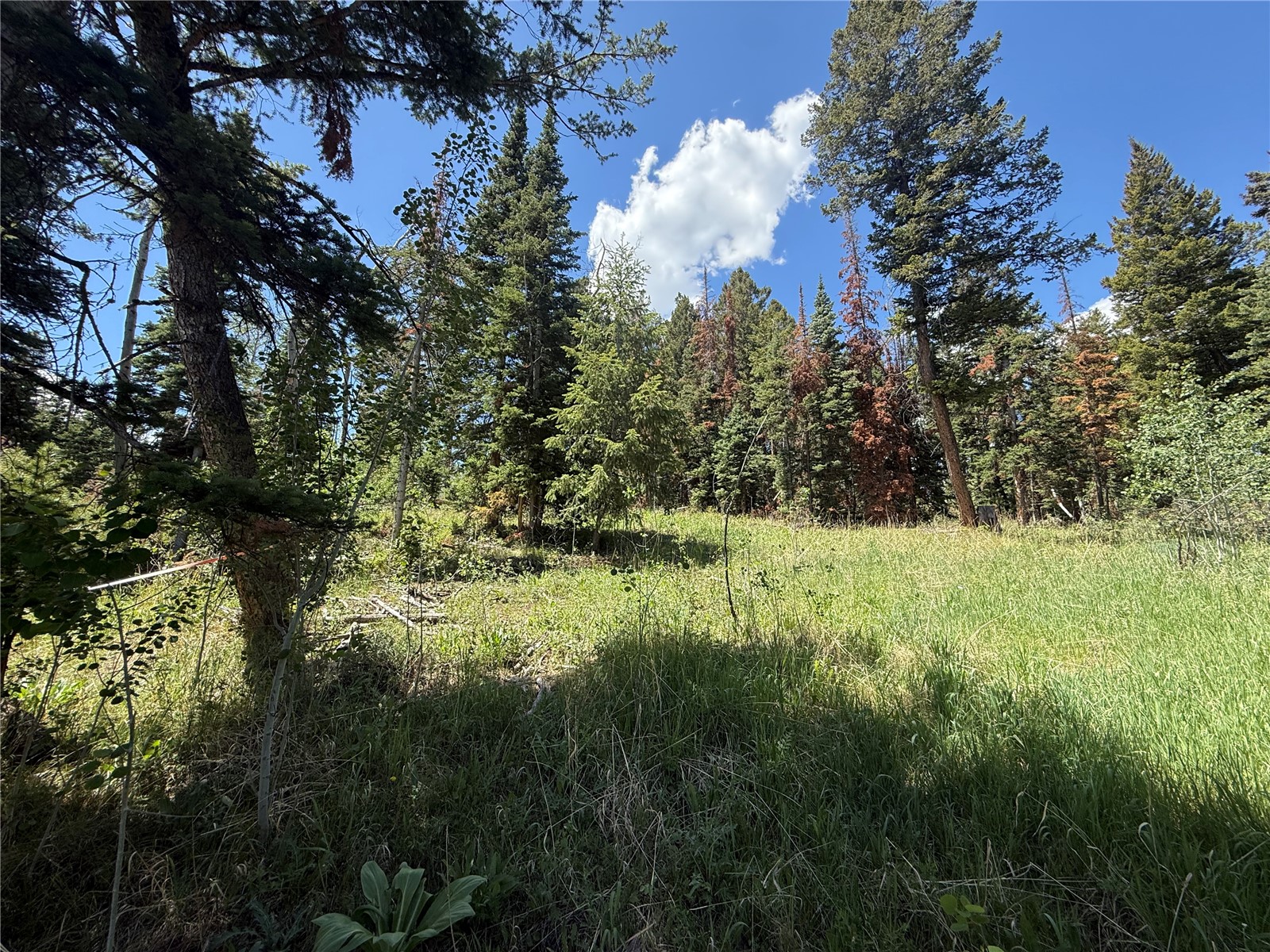 Tbd Spring Creek Ranch Road Silverthorne CO 80498