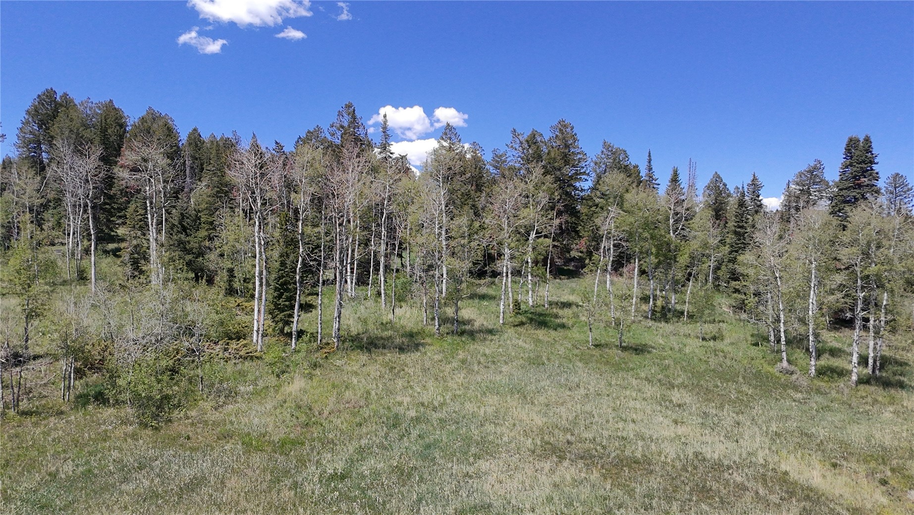 Tbd Spring Creek Ranch Road Silverthorne CO 80498