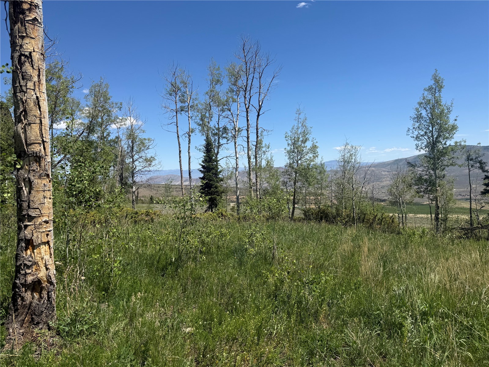 Tbd Spring Creek Ranch Road Silverthorne CO 80498