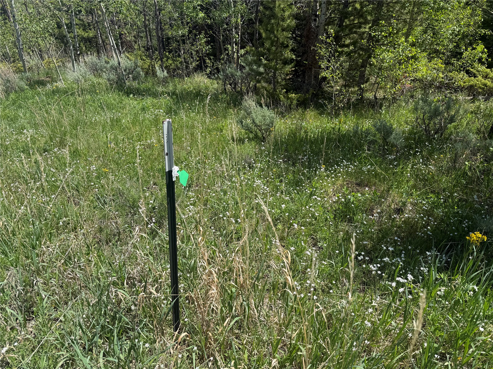 Tbd Spring Creek Ranch Road Silverthorne CO 80498