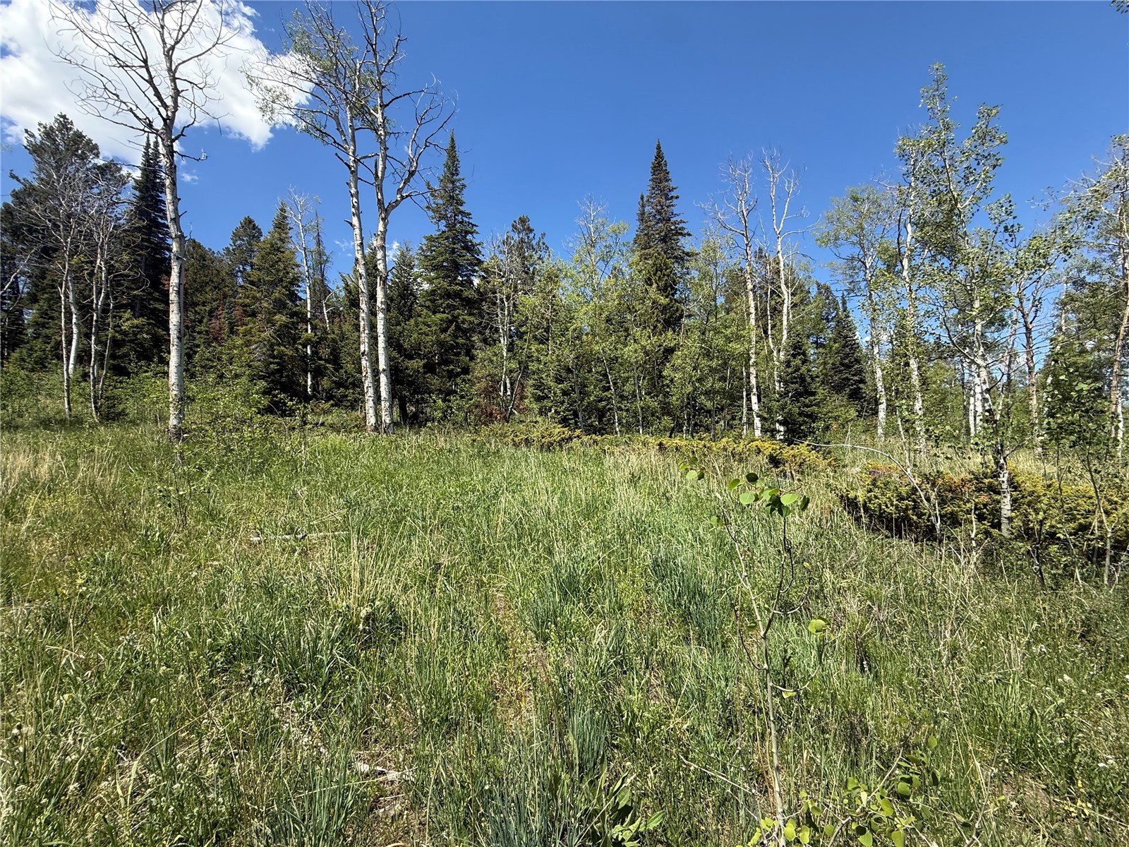 Tbd Spring Creek Ranch Road Silverthorne CO 80498