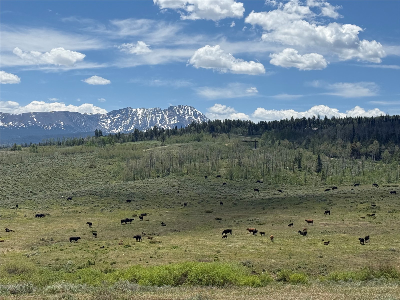Tbd Spring Creek Ranch Road Silverthorne CO 80498