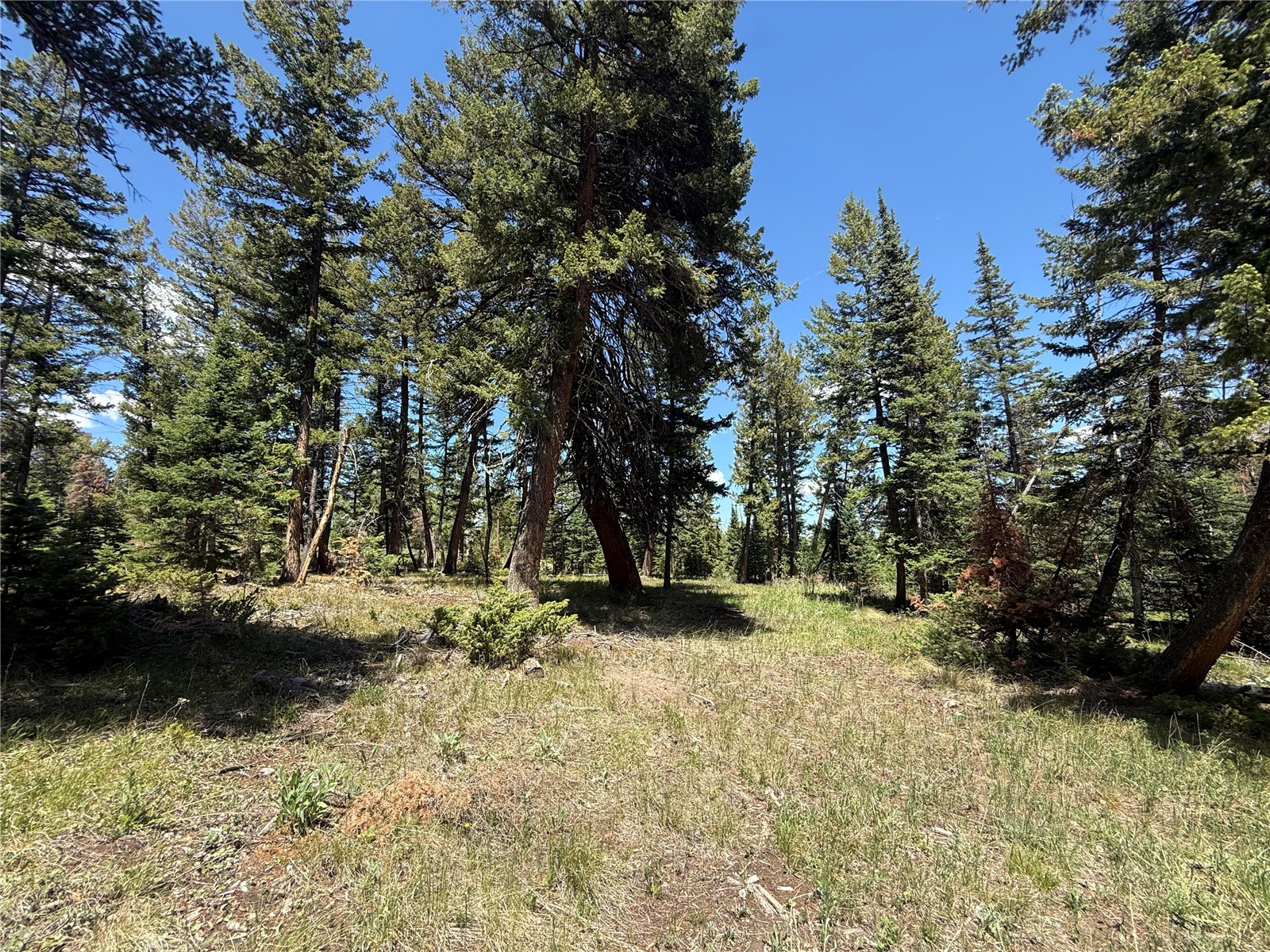 Tbd Spring Creek Ranch Road Silverthorne CO 80498